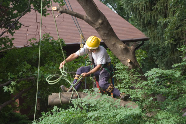 Landscape Design and Installation in Boiling Springs, SC